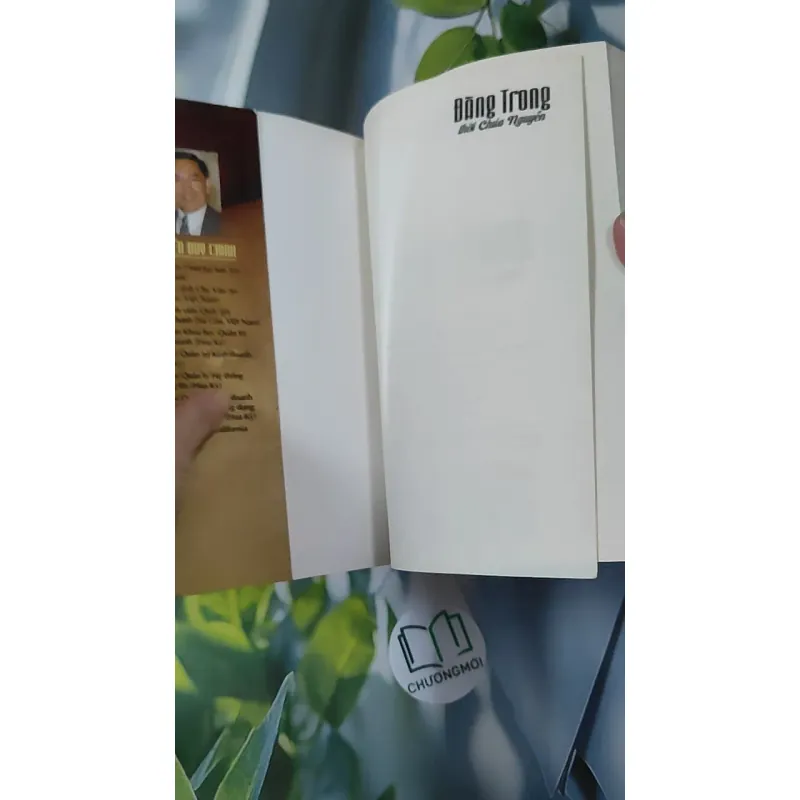 Đàng Trong Thời Chúa Nguyễn - Nguyễn Duy Chính 970274