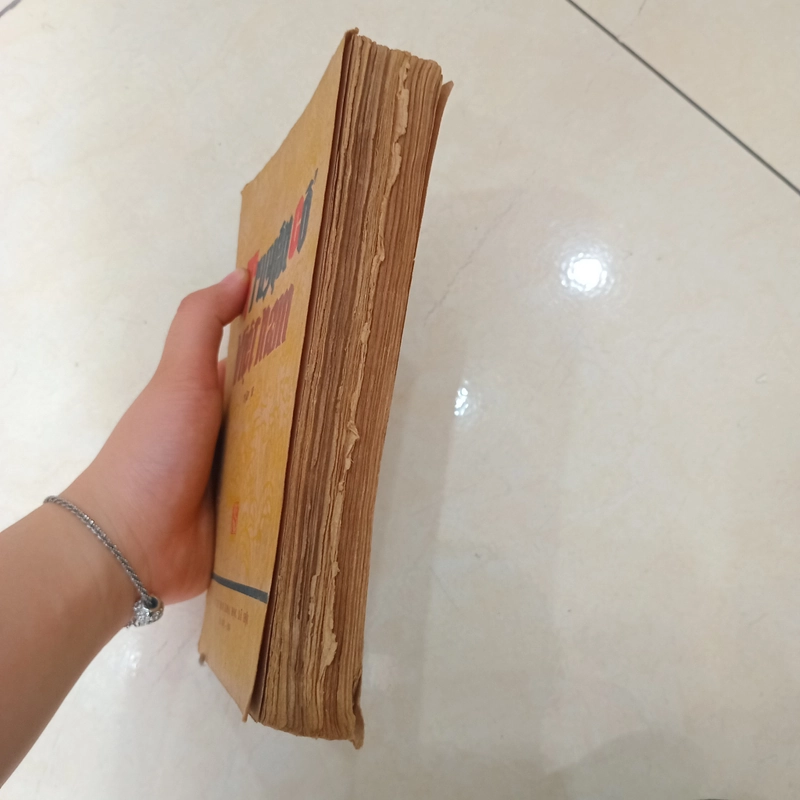Truyện Cổ Việt Nam Tập II 📚 501353