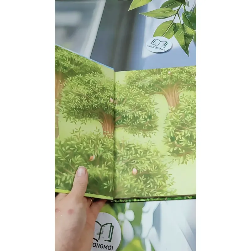 [Tặng nẹp góc] Truyện thiếu nhi Hàn Quốc: Moyamo Anu 55 -  모야모 아누와: 하늘을 나는 배 732059