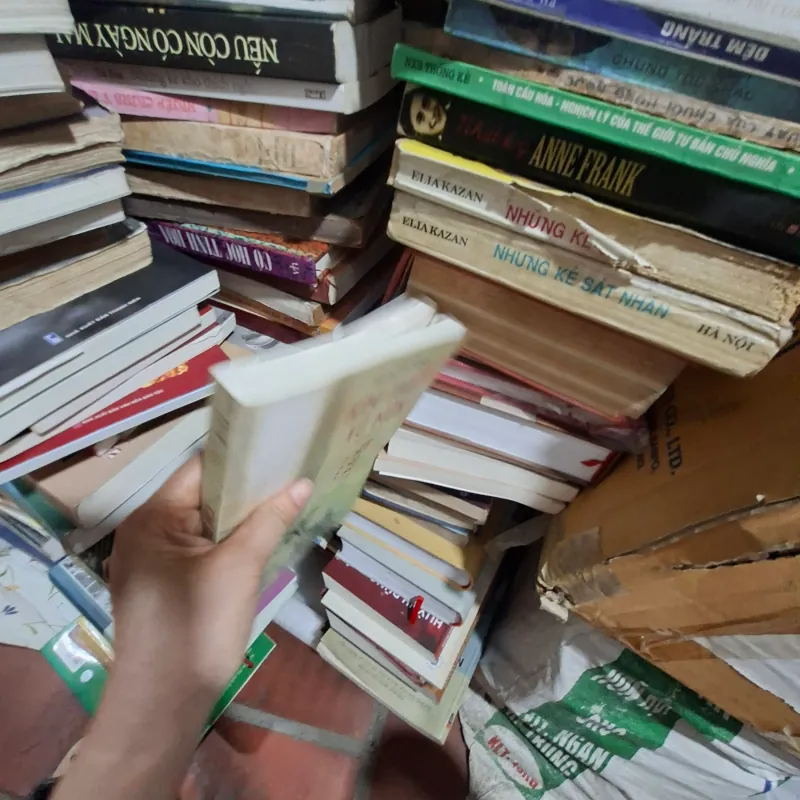 Kim thiếp vũ môn 931971