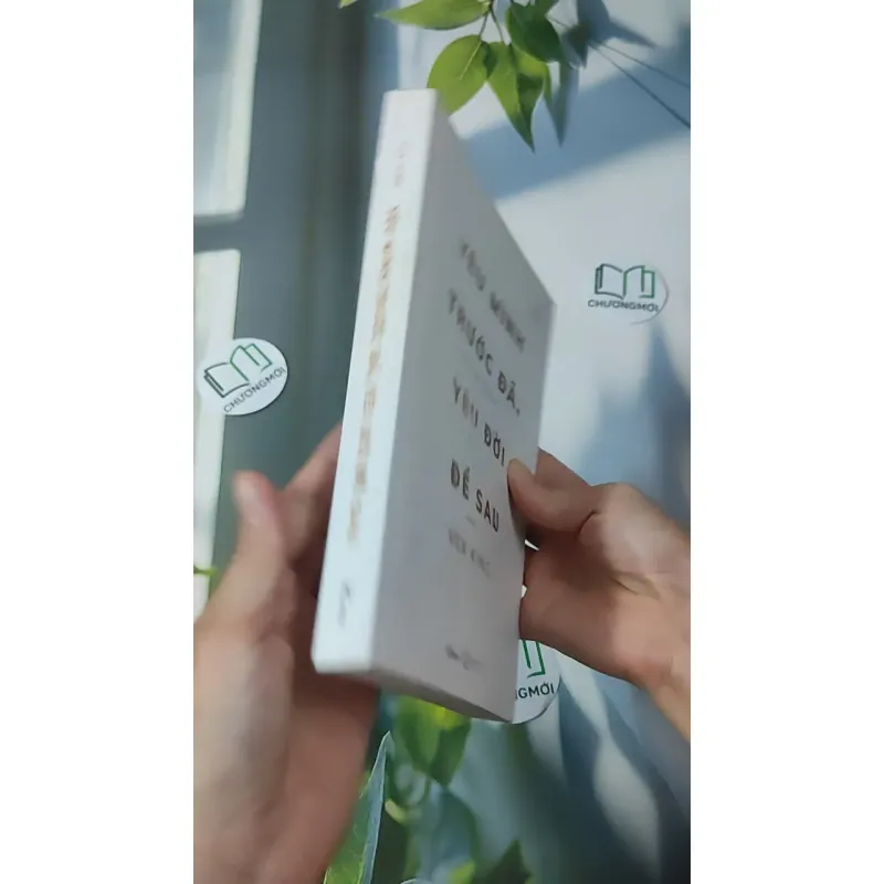 Yêu Mình Trước Đã, Yêu Đời Để Sau - Vex King 961185