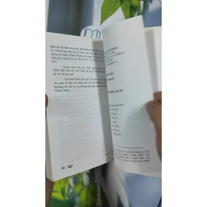 Chú Tư Con Là Ai - Thăng Sắc 798465