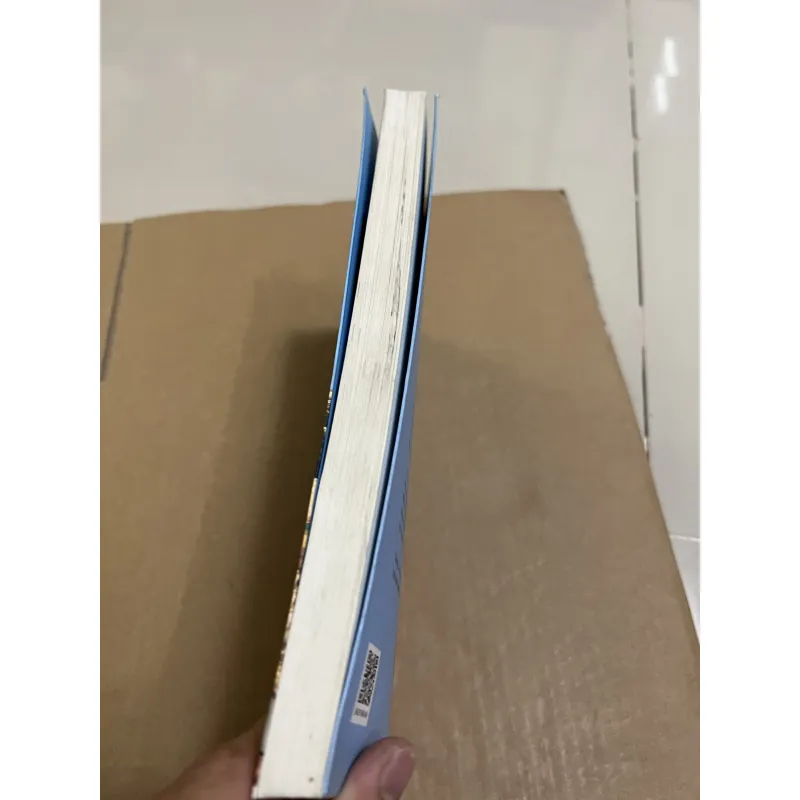 Câu Chuyện Do Thái - Lịch sử thăng trầm của một Dân Tộc 1024072