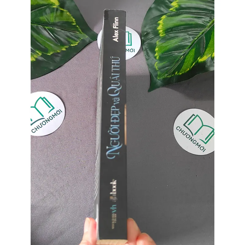 Người Đẹp và Quái Thú - Alex Flinn 603325