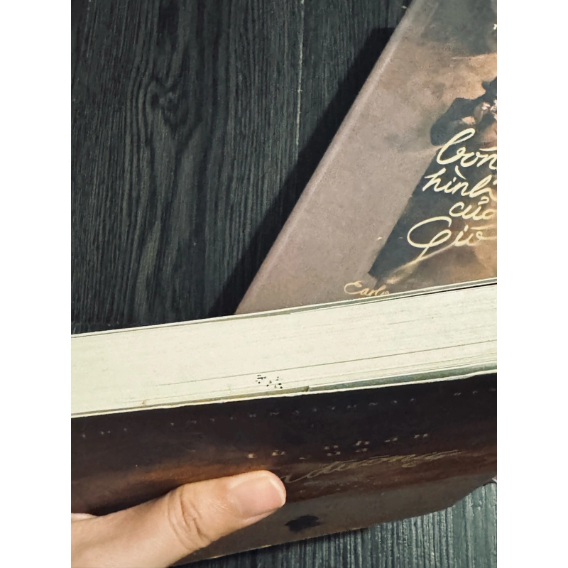 Combo 3 tác phẩm của Carlos Ruiz Zafón 507028