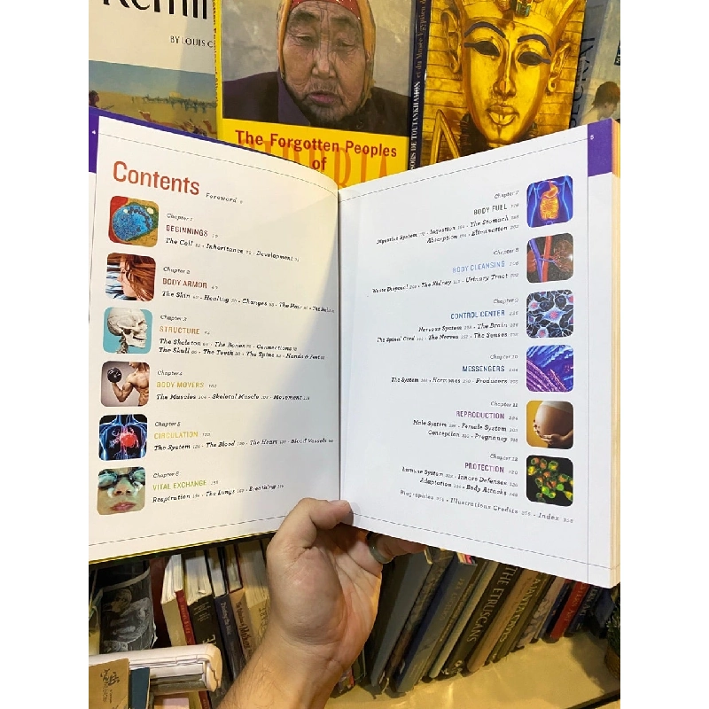 The Body: A Complete User’s Guide 1030516