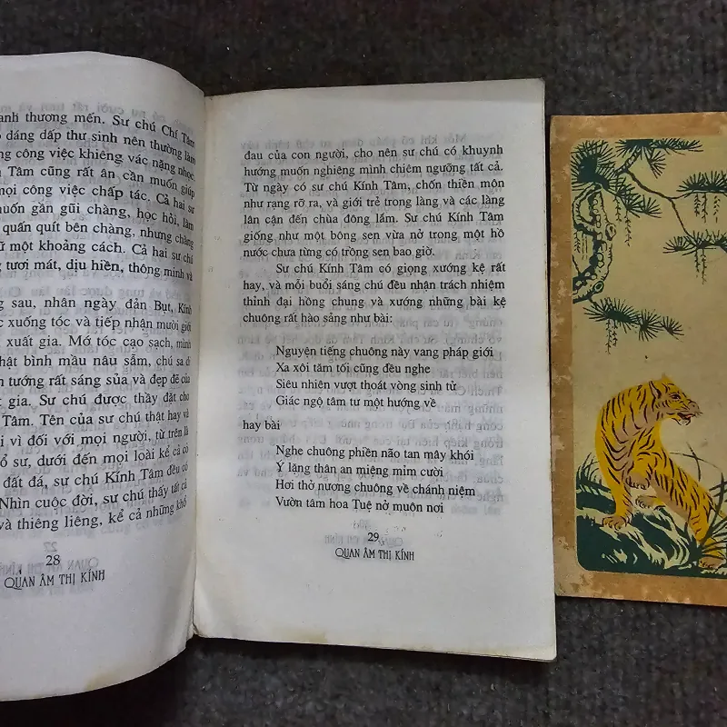 Quan âm thị kính - thích nhất hạnh 753114