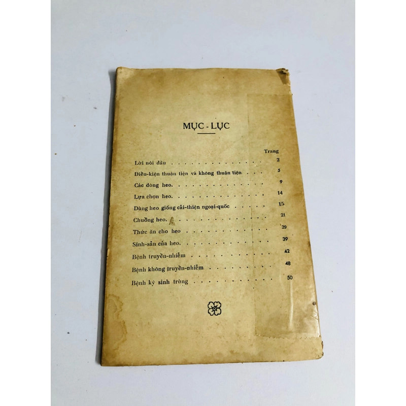 NUÔI HEO 1966 528074
