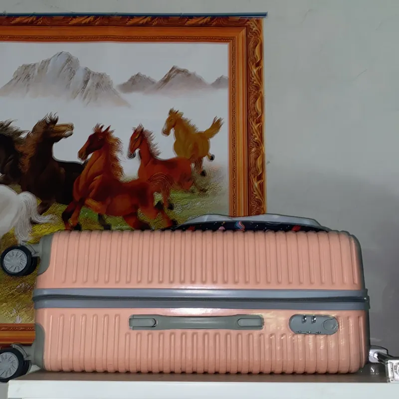 Thanh lý vali ạ  570393