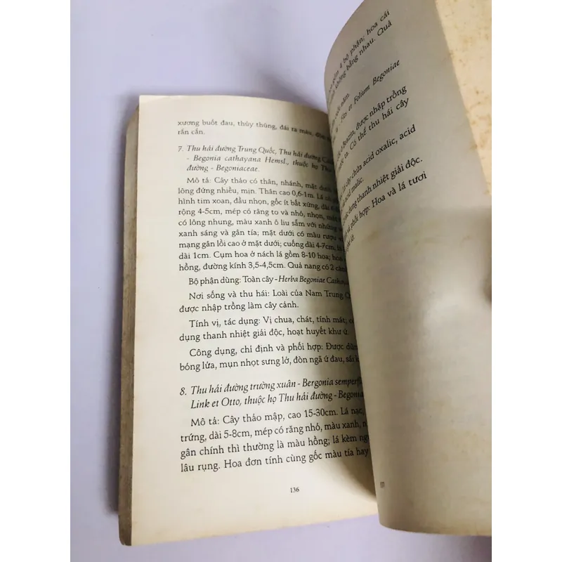 HOA QUẢ MÙA XUÂN VỪA ĐẸP VỪA NGON 693652