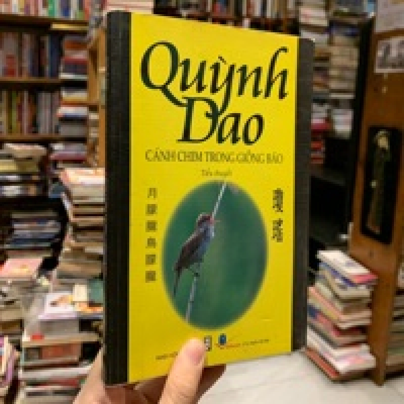 CÁNH CHIM TRONG GIÔNG BÃO - QUỲNH DAO 120727