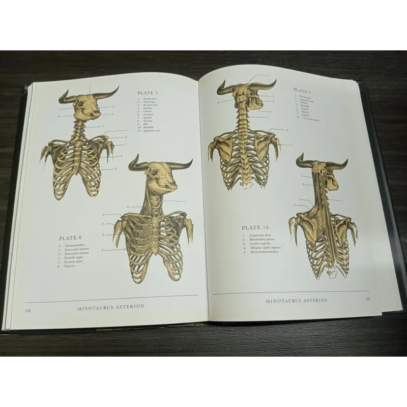 The resurrectionist, sách ngoại văn tiếng Anh, english book  731775