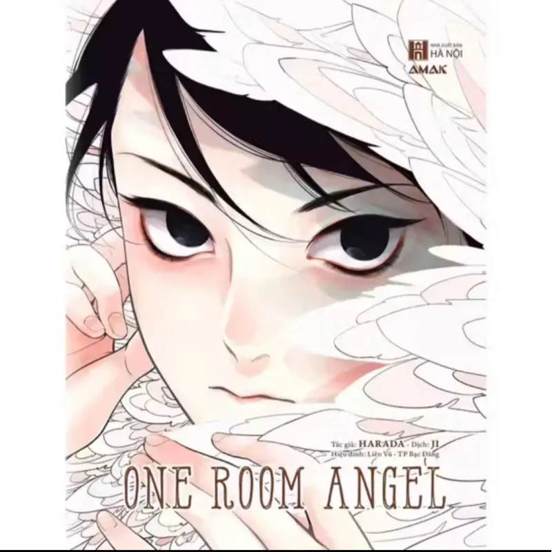 One room angle (đọc kỹ mô tả) 936791