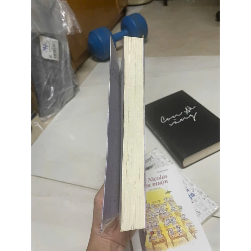 Nhóc Nicolas Những chuyện chưa kể 3 - Goscinny & Sempé 462951