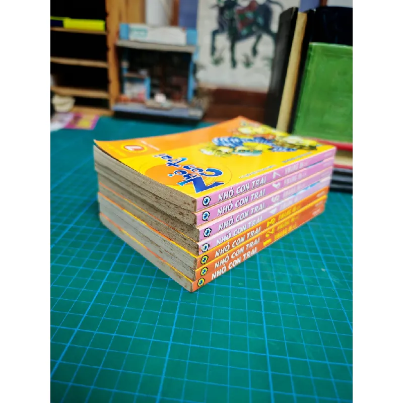 TRUYỆN TRANH Nhỏ Con Trai - Hwang Mi-ri 139343