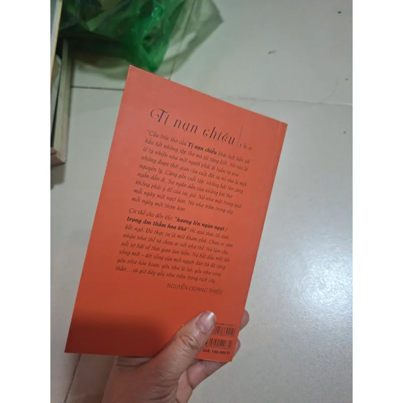 Tị nạn chiều của Nguyễn Thị Minh Thái 937509