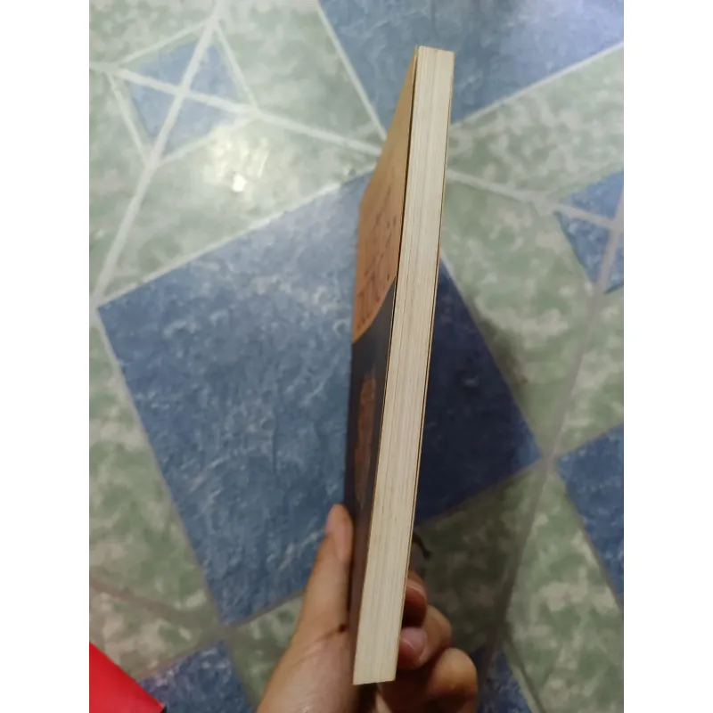 Liệt Tử Dương Tử - Nguyễn Hiến Lê 975941