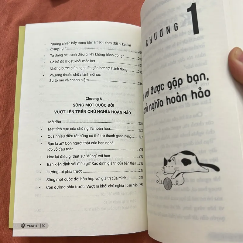 Buông bỏ chủ nghĩa hoàn hảo  1029783