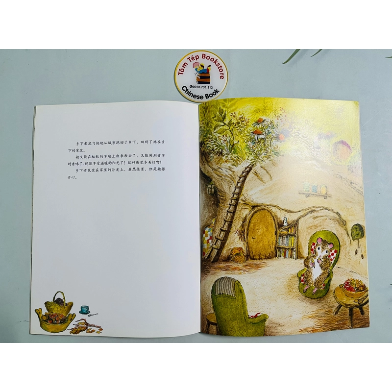 Sét sách tranh triết học cho trẻ em-tiếng Trung 498824