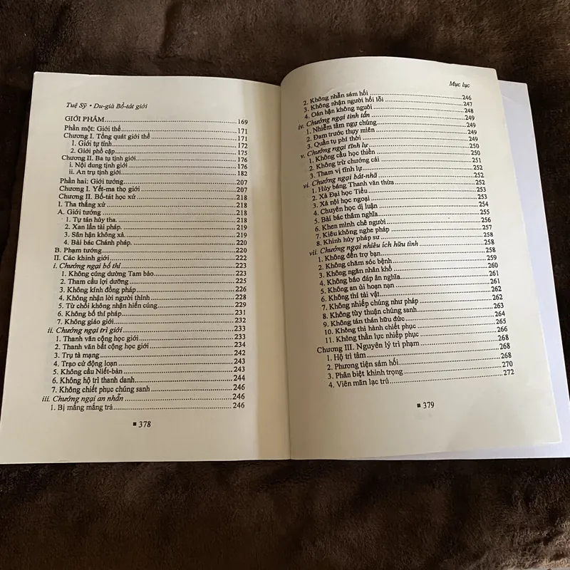 Du già bồ tát giới, Tuệ Sỹ 601328