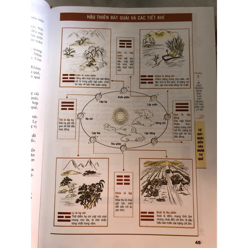 Mai hoa dịch số 719447