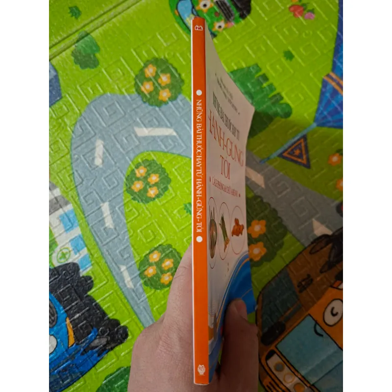 Những bài thuốc hay từ Hành - Gừng - Tỏi: Cách phòng & chữa bệnh 1013362