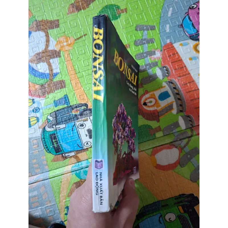 Bonsai - Cây dáng, thế và Non bộ 933891