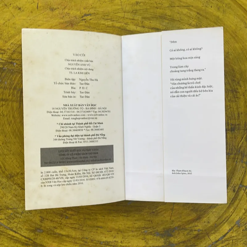 VÀO CÕI - NGUYỄN BÌNH PHƯƠNG 1002510