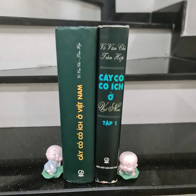 Sách Cây Cỏ Có Ích ở Việt Nam ( Trọn Bộ )- Võ Văn Chi 466023
