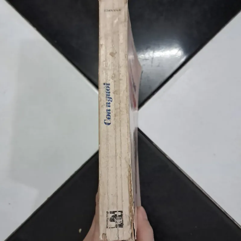 Con người Việt Nam - Toan Ánh 1028768