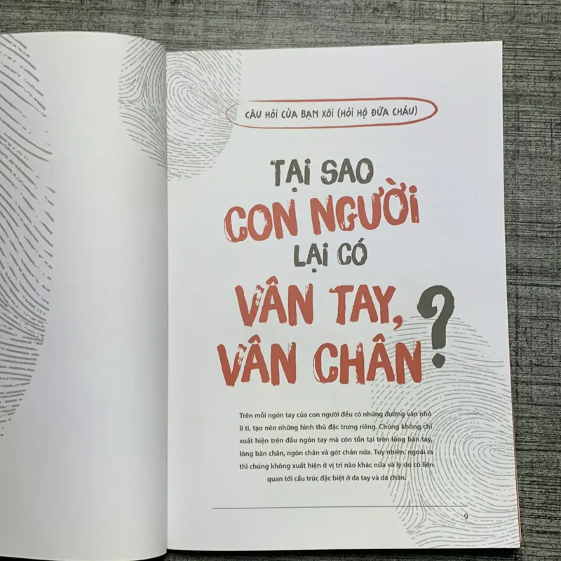 Không Có Câu Hỏi Nào Ngớ Ngẩn 2 709143