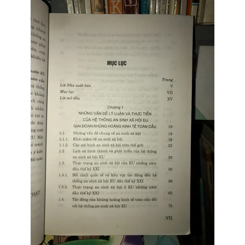 Hệ thống an sinh xã hội của một số nước EU giai đoạn hậu khủng hoảng tài chính-kinh tế  594792