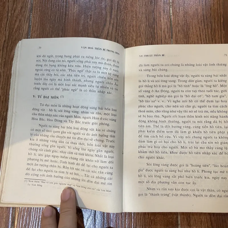 Vu Thuật Thần Bí - Diêu Chu Huy (7) 735001