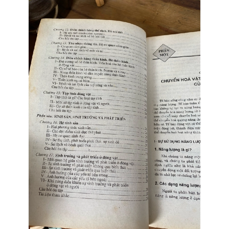 Sinh lý học người và động vật - PSG.TS. Nguyễn Như Hiền, Th.S. Nguyên Hồng Hạnh 191745