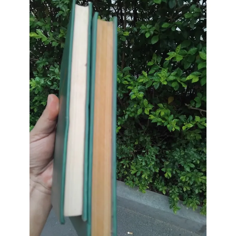 Truyện ngắn chọn lọc Nguyễn Công Hoan 2 tập 1002677