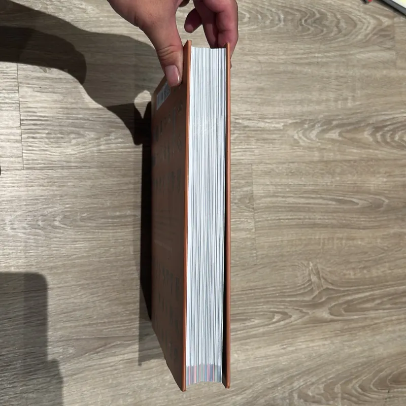 LỊCH SỬ VIỆT NAM BẰNG HÌNH - Đông A 1005360