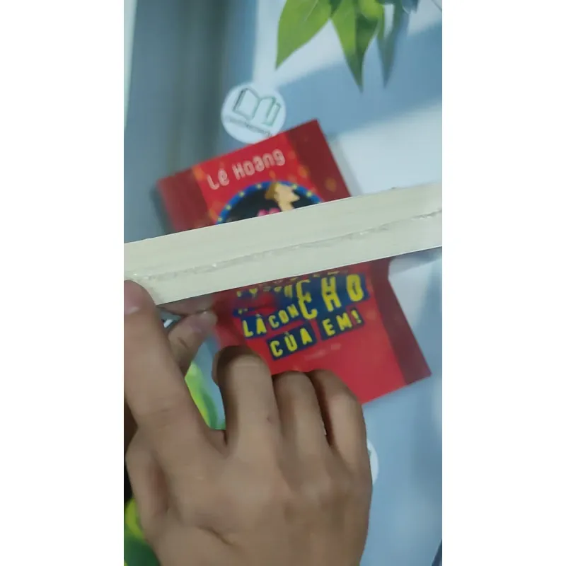 [XƯA] Vòng Tròn Bội Bạc (1999) - Chu Lai 798521