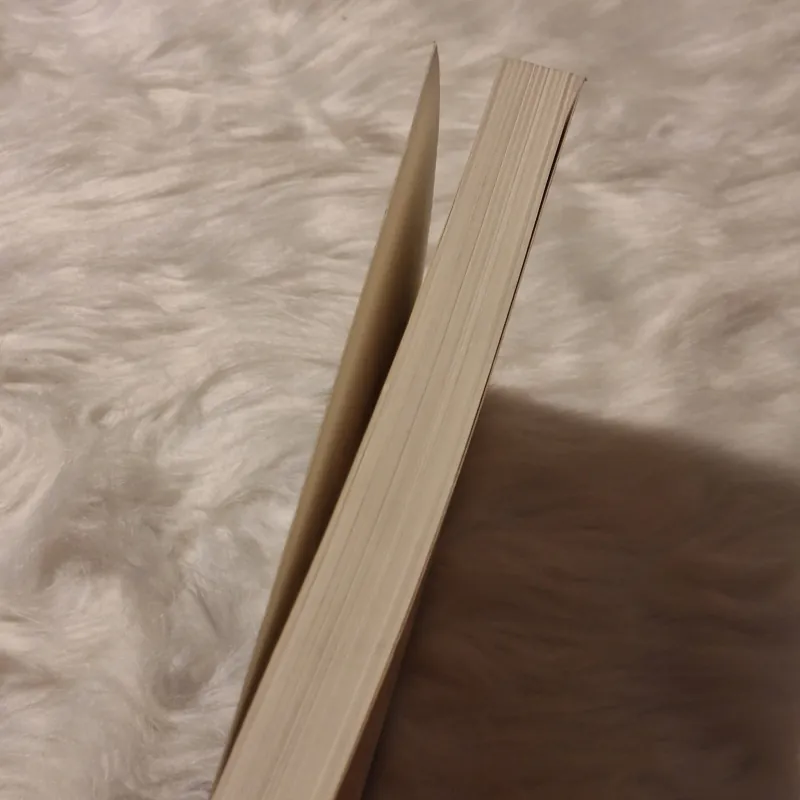 Reading the Literatures of Asian America 782812