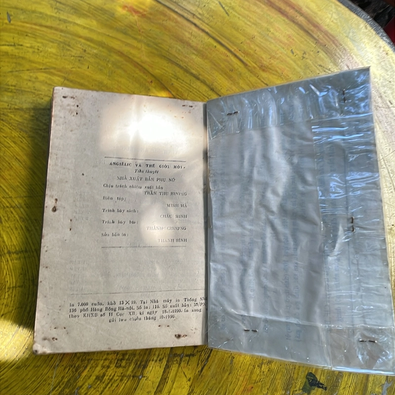 Angielic và Thế Giới Mới 463297