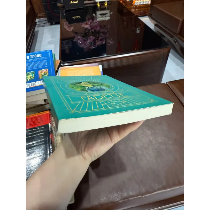 Cô bé Fadette – George Sand | Tiểu thuyết kinh điển văn học Pháp 976339