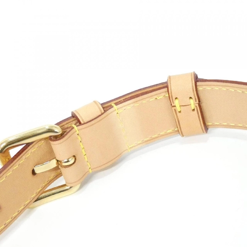 Túi đeo chéo Louis Vuitton Monogram M43644 - Hàng hiệu Chính hãng 767934