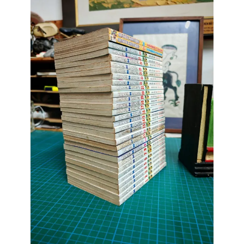 Truyện tranh Hunter x Hunter - Yoshihiro Togashi (full drop) 121107