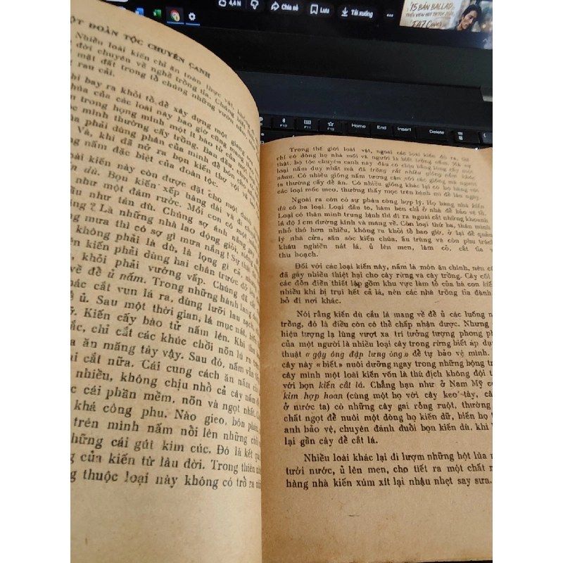 Những tay nghề kỳ diệu - Minh Hương 1031904