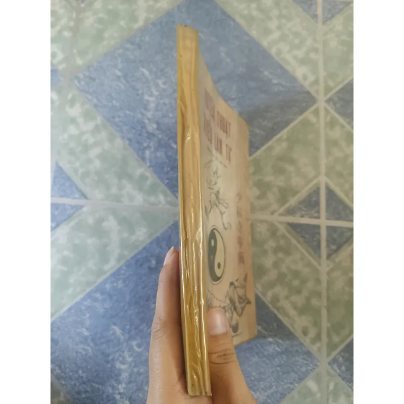 Quyền thuật Thiếu Lâm Tự - Trần Tuấn Kiệt 708648