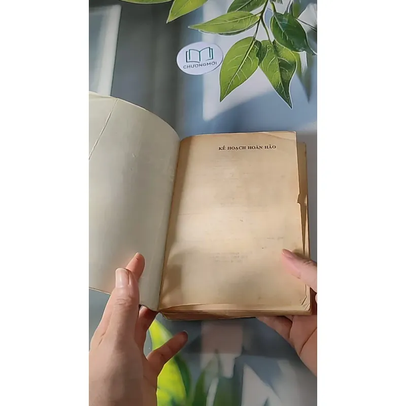 Kế Hoạch Hoàn Hảo (1999) - Sidney Sheldon 607694