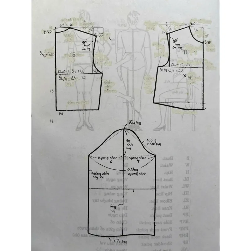 CẮT MAY CƠ BẢN 759948