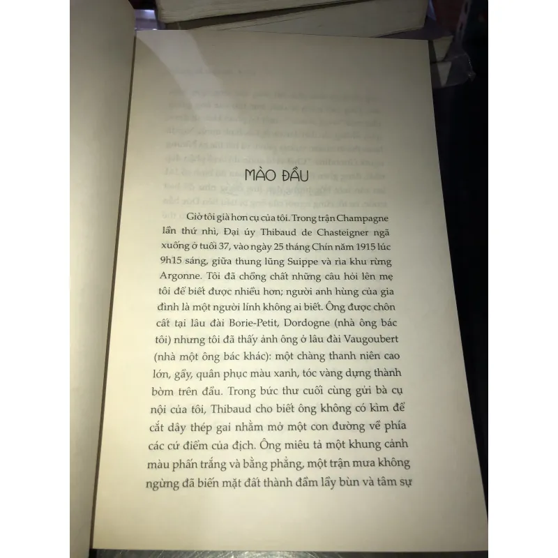 Một tiểu thuyết pháp - Frédéric Beigbeder  1021384