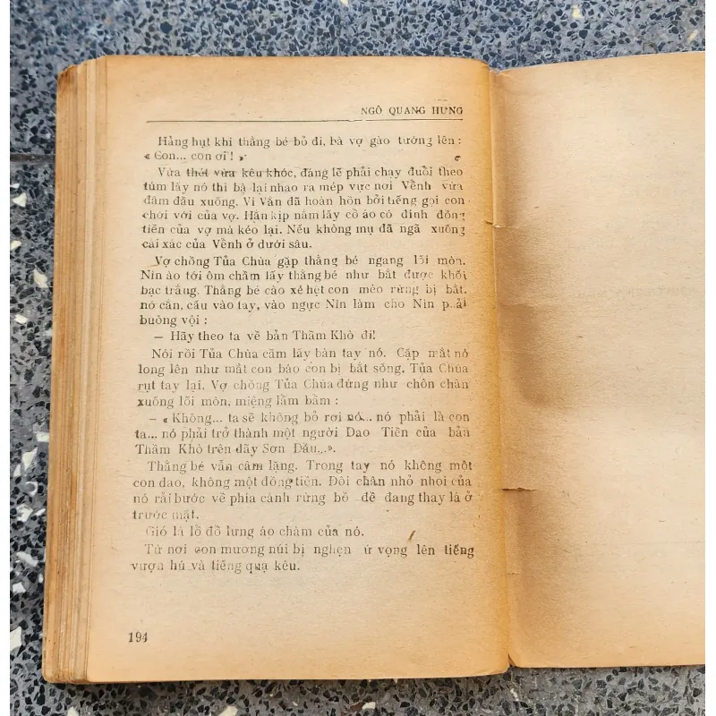 Tiểu thuyết NÚI CÔ ĐƠN (Ngô Quang Hưng) - NXB Văn Hóa Dân Tộc 790806