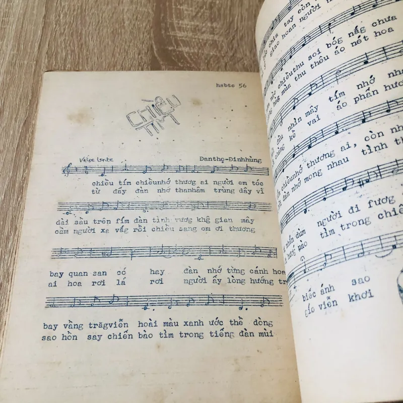 HOA SOAN BÊN THỀM CŨ 1972 993284