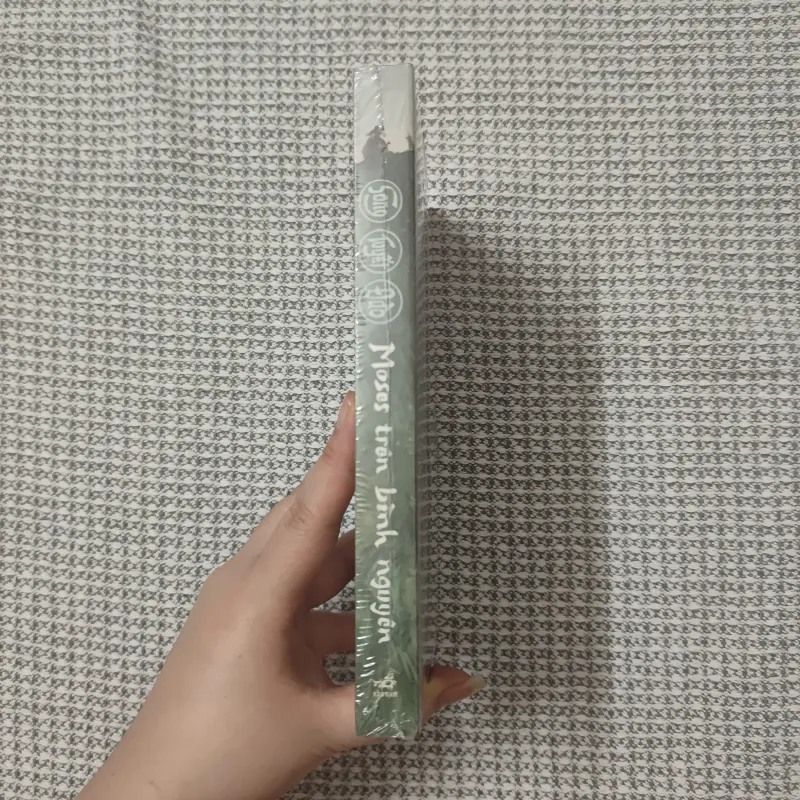 Moses trên bình nguyên - Song Tuyết Đào 1040912